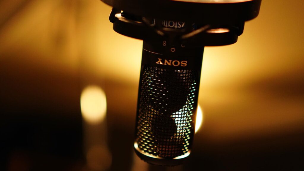 SONY C100 コンデンサーマイク